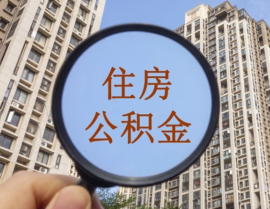 莱阳退休后查不到公积金明细了吗（退休后公积金查询不到原因）